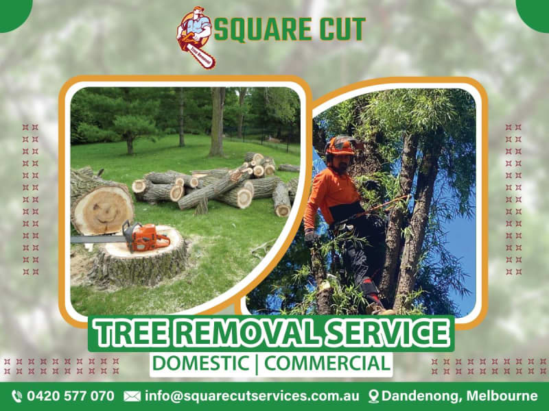 Tree Removal in Dandenong