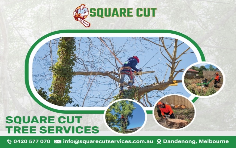 square cut