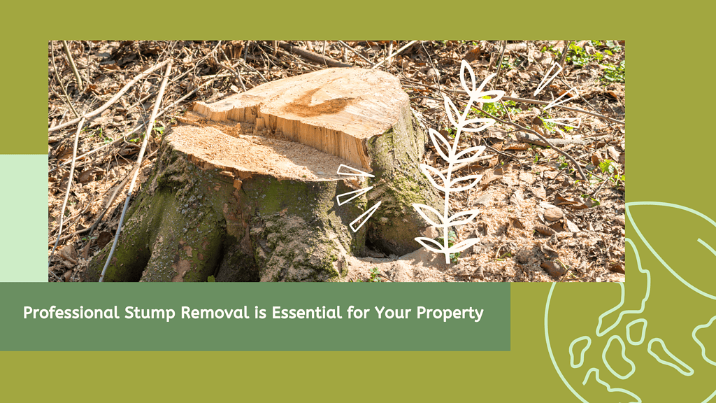 Professional Stump Removal is Essential for Your Property