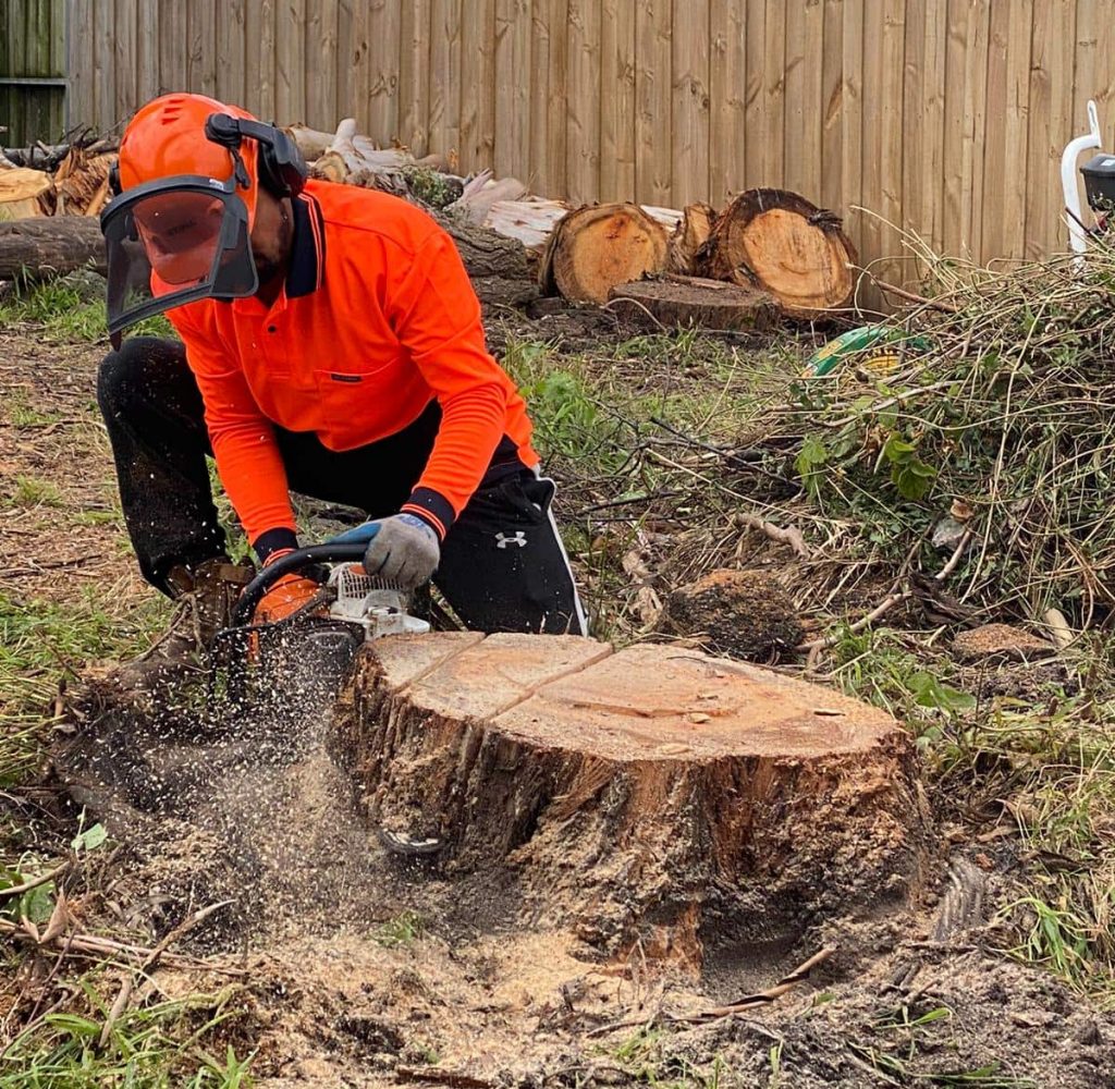 Stump Grinding