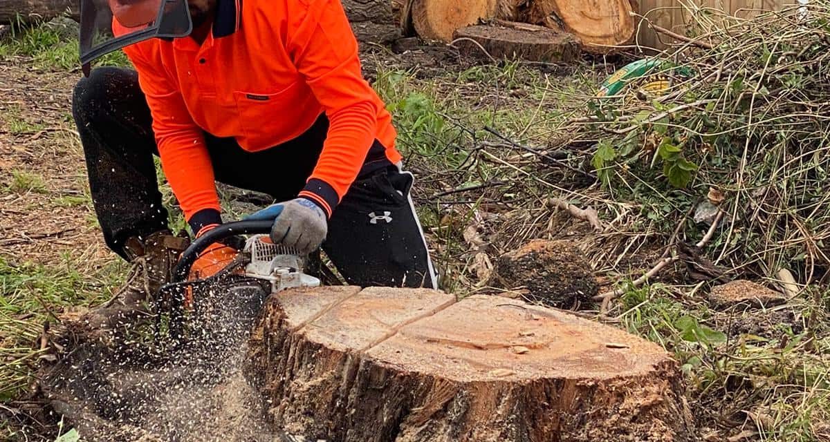 Stump Grinding